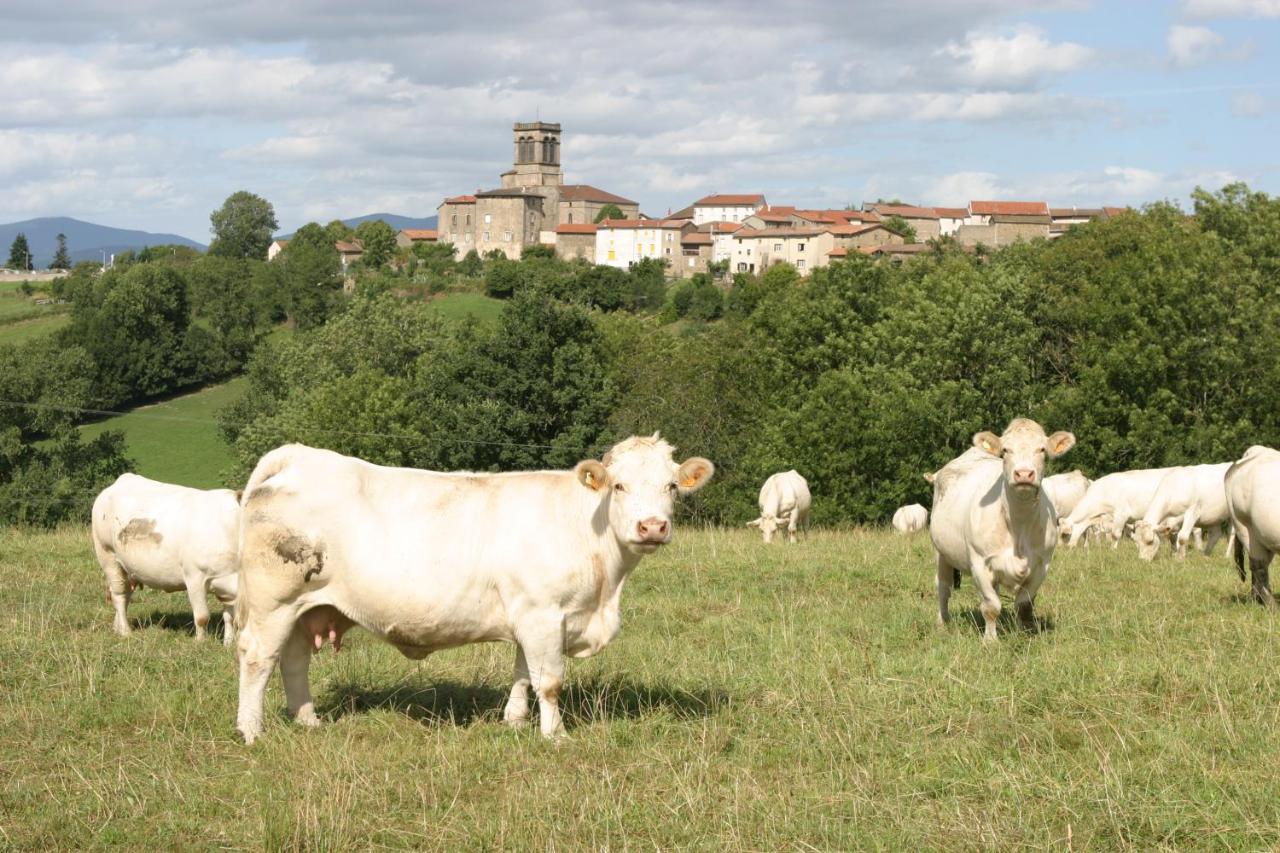 La Paresse En Douce Bed & Breakfast Tours-Sur-Meymont Luaran gambar